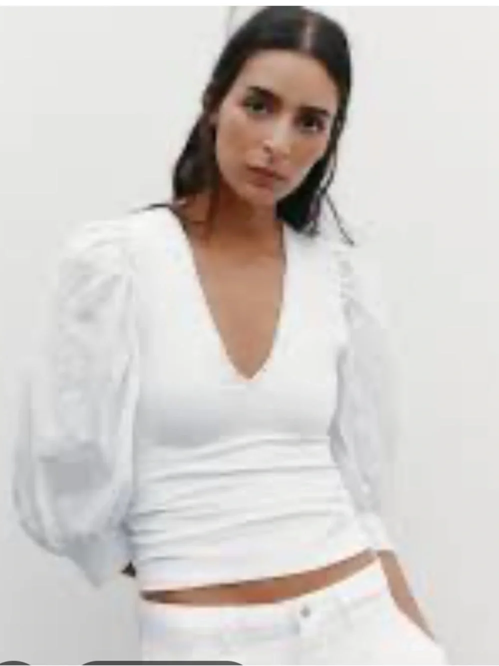 Zara Puff Sleeve Embroidered Floral Blouse